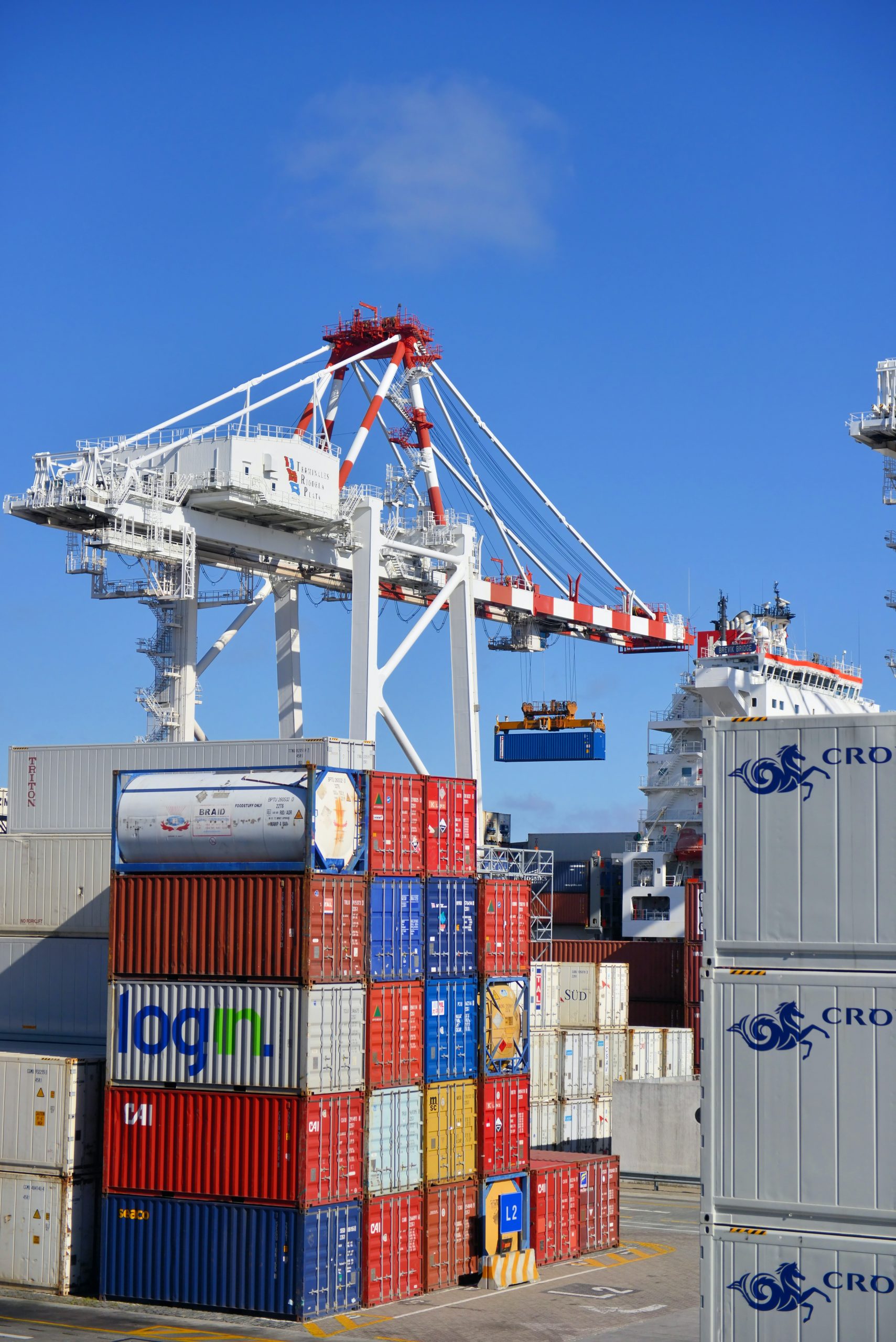 IMPORT & EXPORT